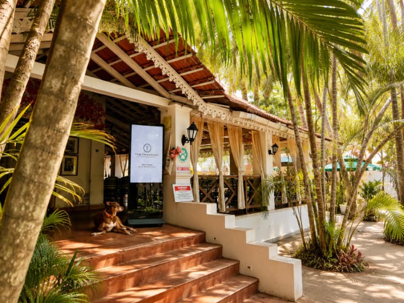 Stone steps leading into The Tamarind beneath tropical trees